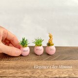 本物そっくり！クレイ（粘土）で作ったミニチュア多肉植物（ピンク）