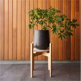 Plant Stand  ’float’　ビーチ材　プランタースタンド　フラワースタンド　花台