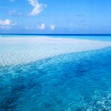 水平線と白鷺　PH-A3-014  写真　水平線　モルディブ　インド洋　白い砂　白鷺