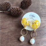 イヤリング＊サンフォルディ