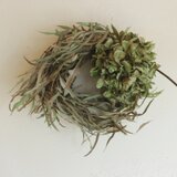 ドライフラワーリース