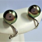 ブラックパール「淡水」キヤッチ／プラチナ９００