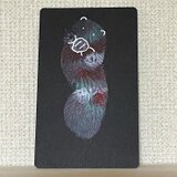 不思議な毛並みのラッコ