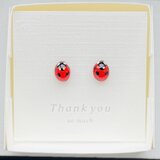 てんとう虫〔ナナホシテントウ〕