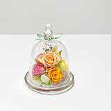 可愛いクマ/プリザーブドフラワー/ガラスのドーム
