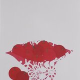 洋のシリーズ/リンゴと帽子　2枚セットの画像