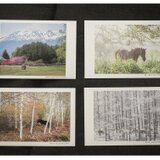 木曽馬ポストカード　4枚組セットの画像