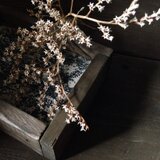 リバーシブルフレーム -black medi back green-