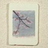 はがきノーマル　A1-012の画像