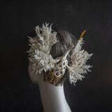 【再販】TURUの画像