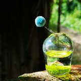 小さな家の一輪挿し　芝の画像