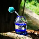 小さな家の一輪挿し　夜の画像