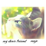 幸せな時間(ペットの似顔絵)