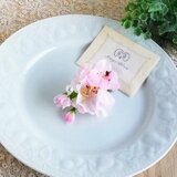 さくら◇桜◇ミニクリップ☆*:.cherry blossoms＃barrette＃pinkの画像