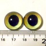 オーダーのお品○半球グラスアイ18ｍｍの画像