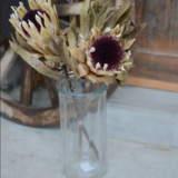 プロテア ホワイトプライド2本+シンプルガラスフラワーベース