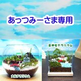 苔寺【苔テラリウム・手作りキット一式】キューブ型と鎌倉大仏【苔テラリウム・手作りキット一式】の画像