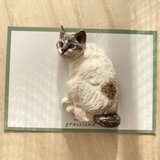 洋館の令嬢(木彫りの猫のブローチ）