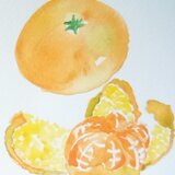 みかんの画像