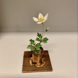 クレイの花(粘土).ニリンソウの画像