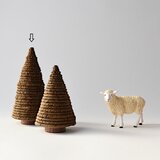 常緑樹〈tall〉の画像