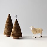 常緑樹〈short〉の画像