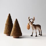 常緑樹〈short ＆ tall〉の画像