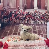 写真映え！可愛いベア柄ふわふわふんわりクリスマスマット