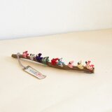 ☆南天九猿☆⑧