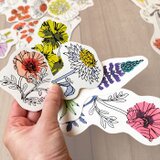カードセット《季節の植物》の画像