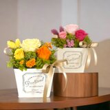 送料無料！【プリザーブドフラワー100%】 誕生日 母の日 お祝い 花 プレゼント