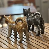 柴犬多頭飼いの画像
