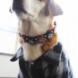 パラコード犬用首輪〈Lサイズ：35～38cm〉　ParaWan combi Fleurs Patch ［フルール パッチ］