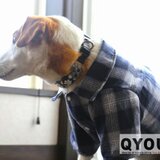 パラコード犬用首輪〈Lサイズ：35～38cm〉　ParaWan combi Fleurs Glen ［フルール グレン］