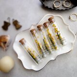 【単品販売】植物標本 ■ Finger Bottles ■ ミモザ フサアカシア　2025年制作の画像