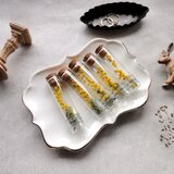 【単品販売】植物標本 ■ Finger Bottles ■ ミモザ ギンヨウアカシア　2026