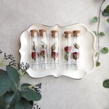 【単品販売】植物標本 ■ Finger Bottles ■ スプレーバラ