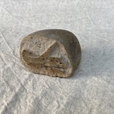 tricera stone carving(断面)