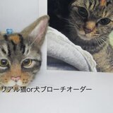 オーダー　羊毛フェルト　うちの仔ブローチ　オーダー　犬or猫　ご相談により他動物可能　ゆこりん工房の画像