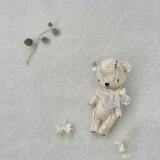 sootyの画像