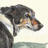 ※要写真　B5サイズ水彩画スケッチ