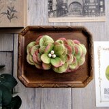 花びらのバレッタ  Lサイズ ■ フラットデザイン コットンパール ■ グリーンレッド