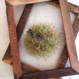 季節のリース_＃2