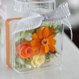 プロフーモ（オレンジ）