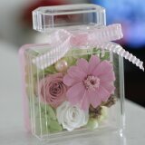 プロフーモ（ピンク）