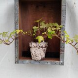 ☆☆古材を生かした〜アンティークな〜シェルフ☆☆の画像