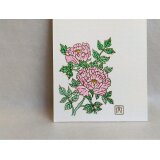 【芍薬】はがき・ポストカード　2枚入り