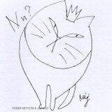 cat-Queenの画像