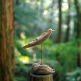 流木の鳥と一緒に世界へ羽ばたきませんか、木製の鳥、鳥のオーナメント、鳥のオブジェ、２０２４－６の画像