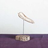 流木の鳥と一緒に世界へ羽ばたきませんか、木製の鳥、鳥のオーナメント、鳥のオブジェ、２０２４－３の画像
